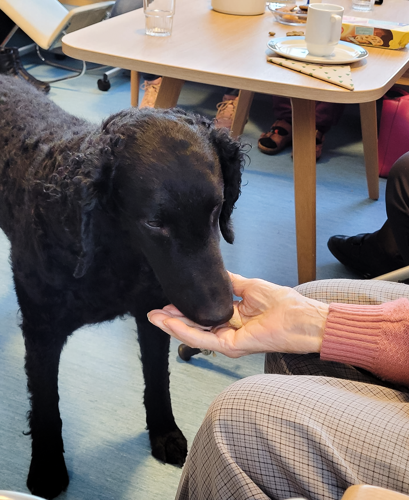 Trykk her for å se aktiviteten