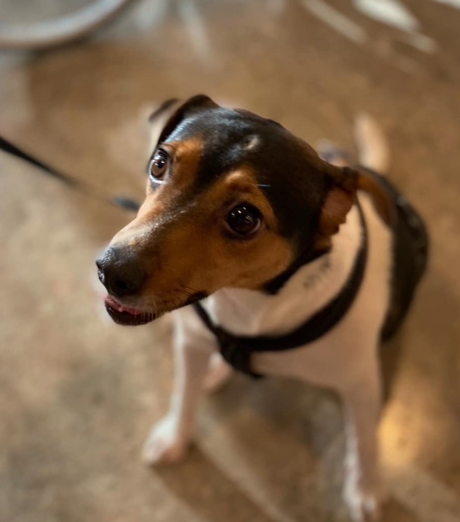 Trykk her for å se aktiviteten