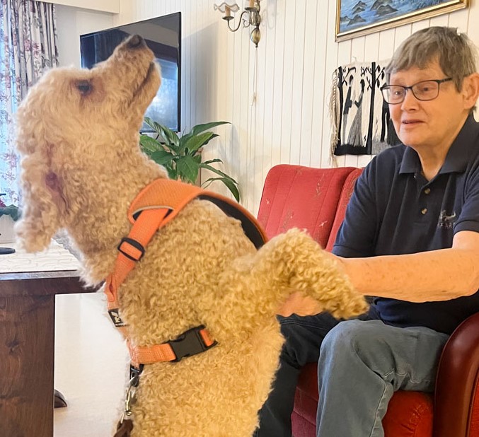 Trykk her for å se aktiviteten