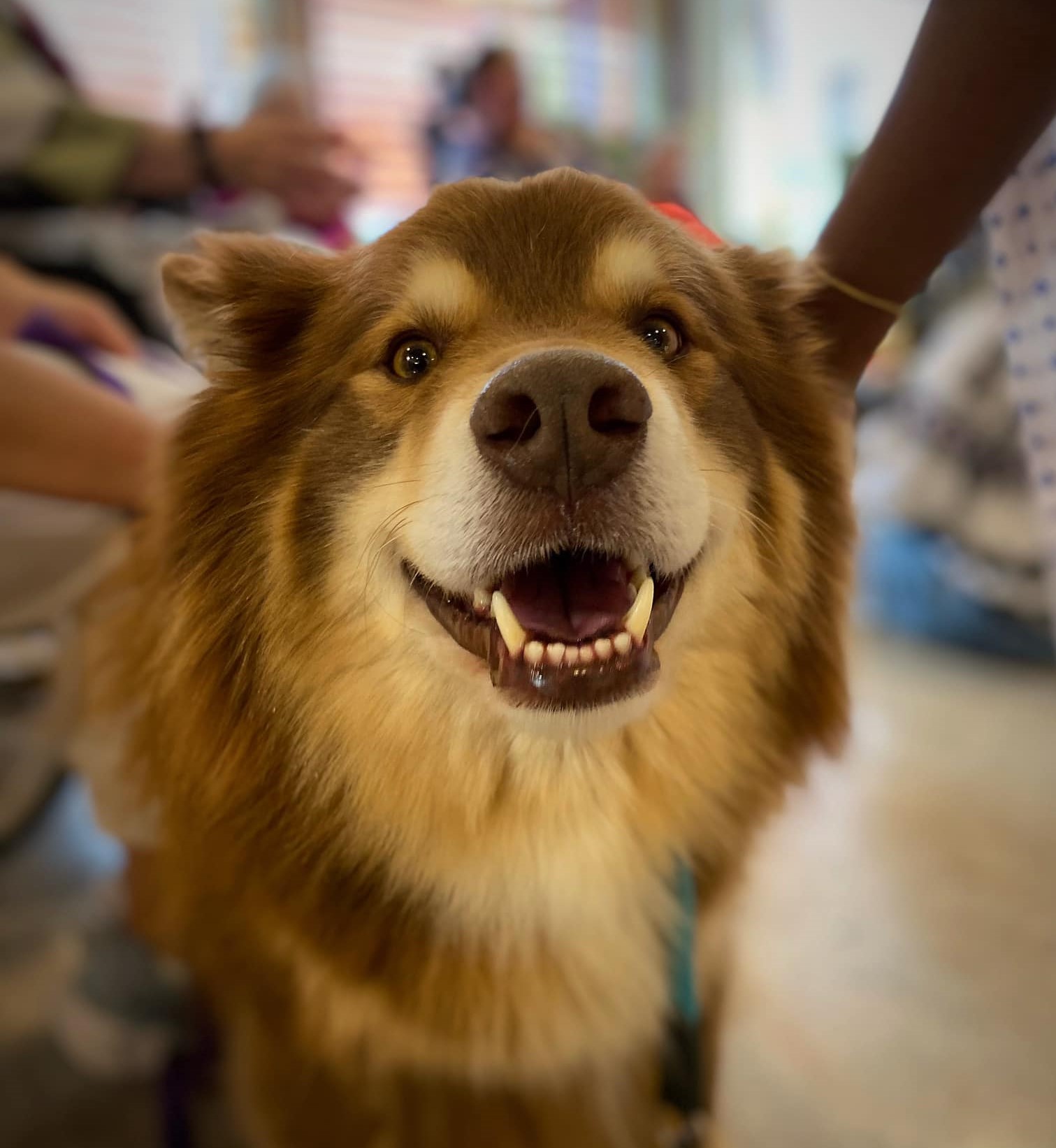 Trykk her for å se aktiviteten