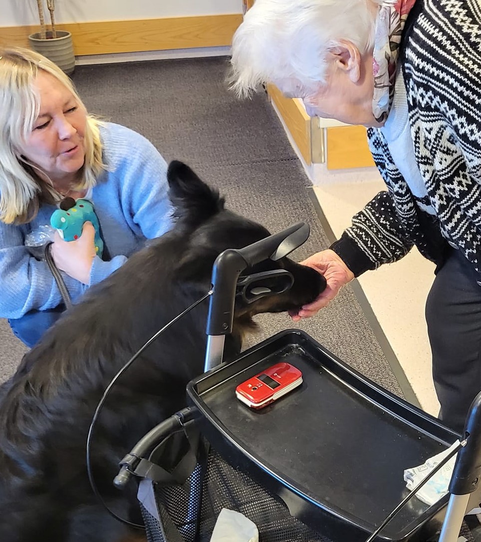 Trykk her for å se aktiviteten