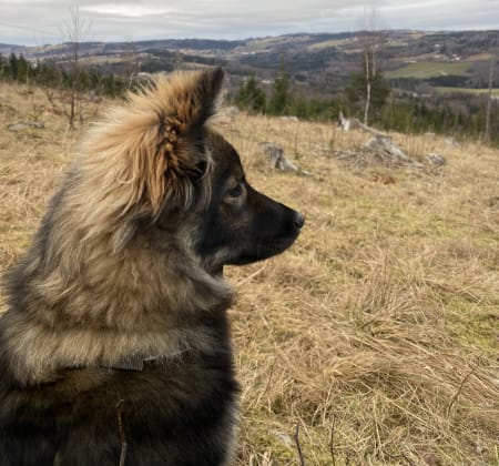 Trykk her for å se aktiviteten