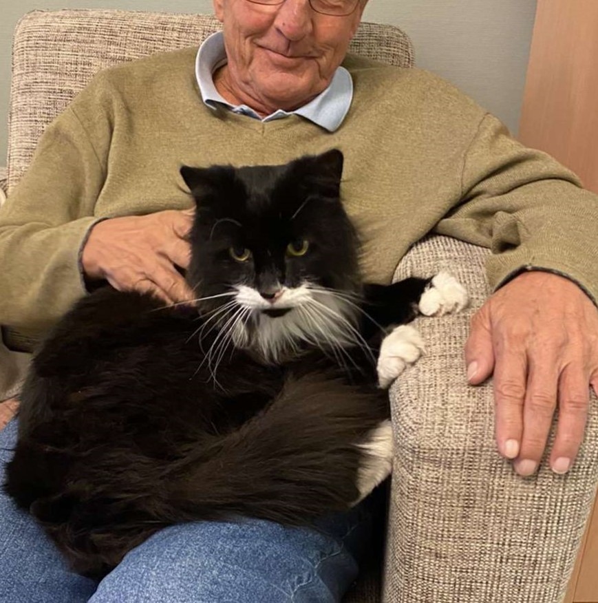 Trykk her for å se aktiviteten