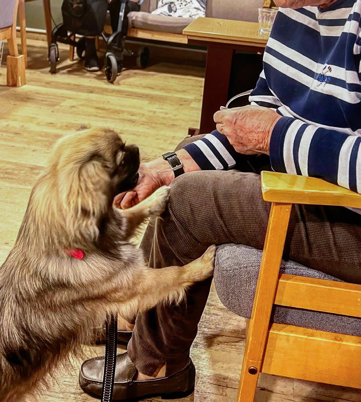 Trykk her for å se aktiviteten