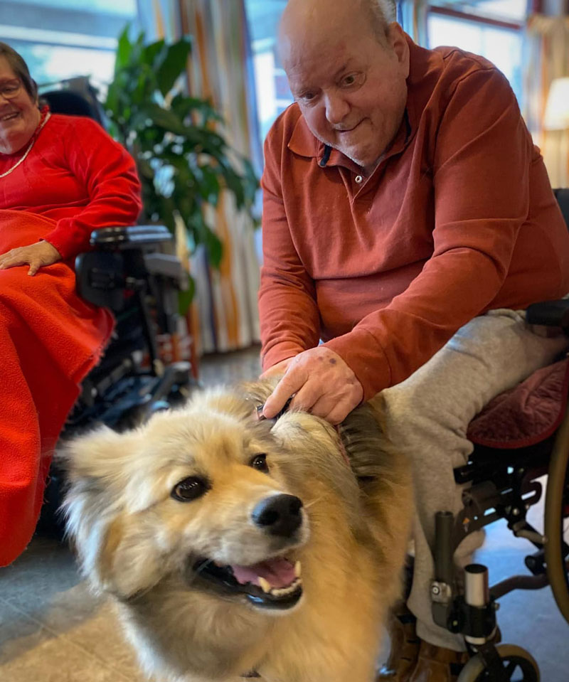 Trykk her for å se aktiviteten