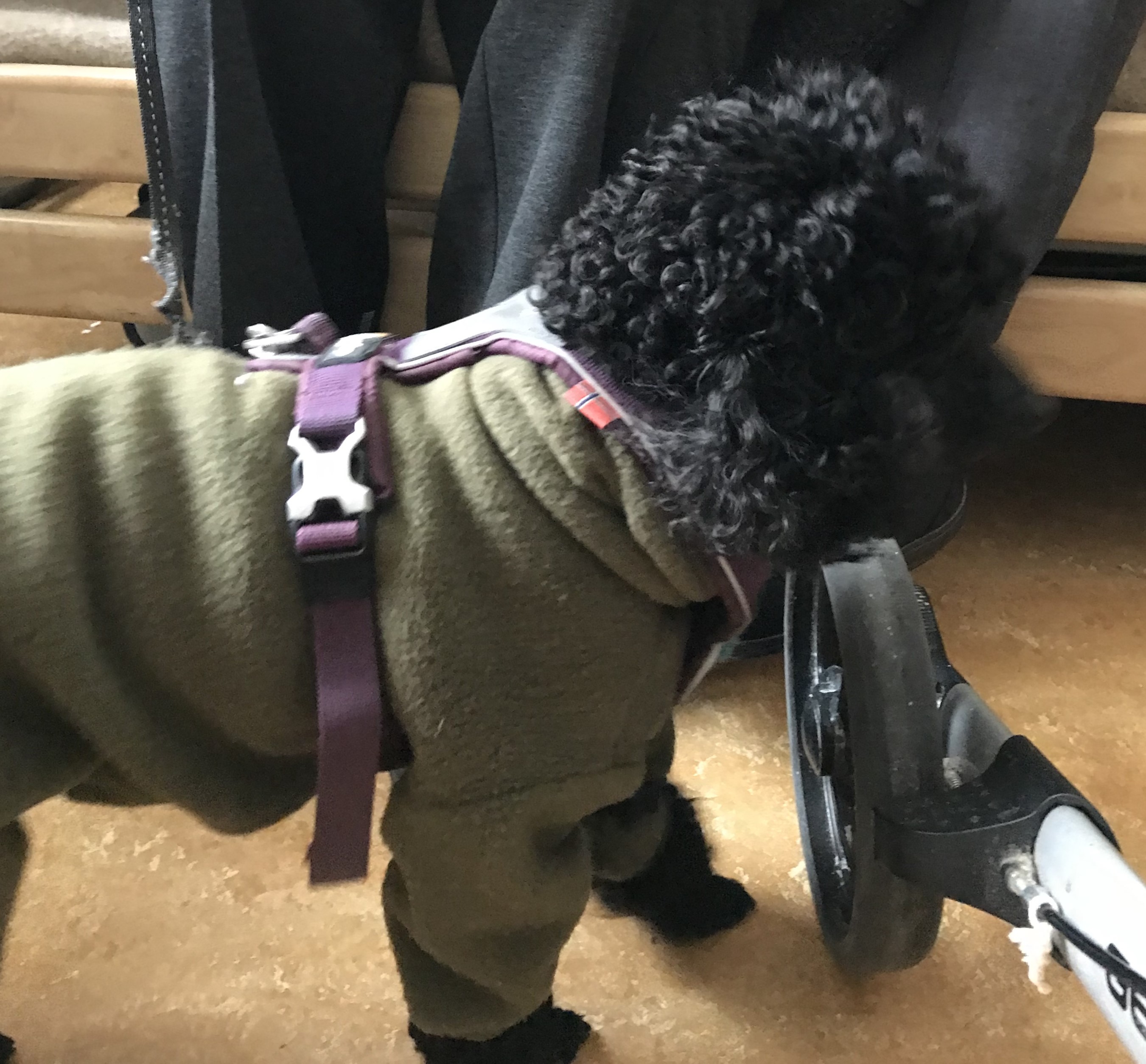 Trykk her for å se aktiviteten