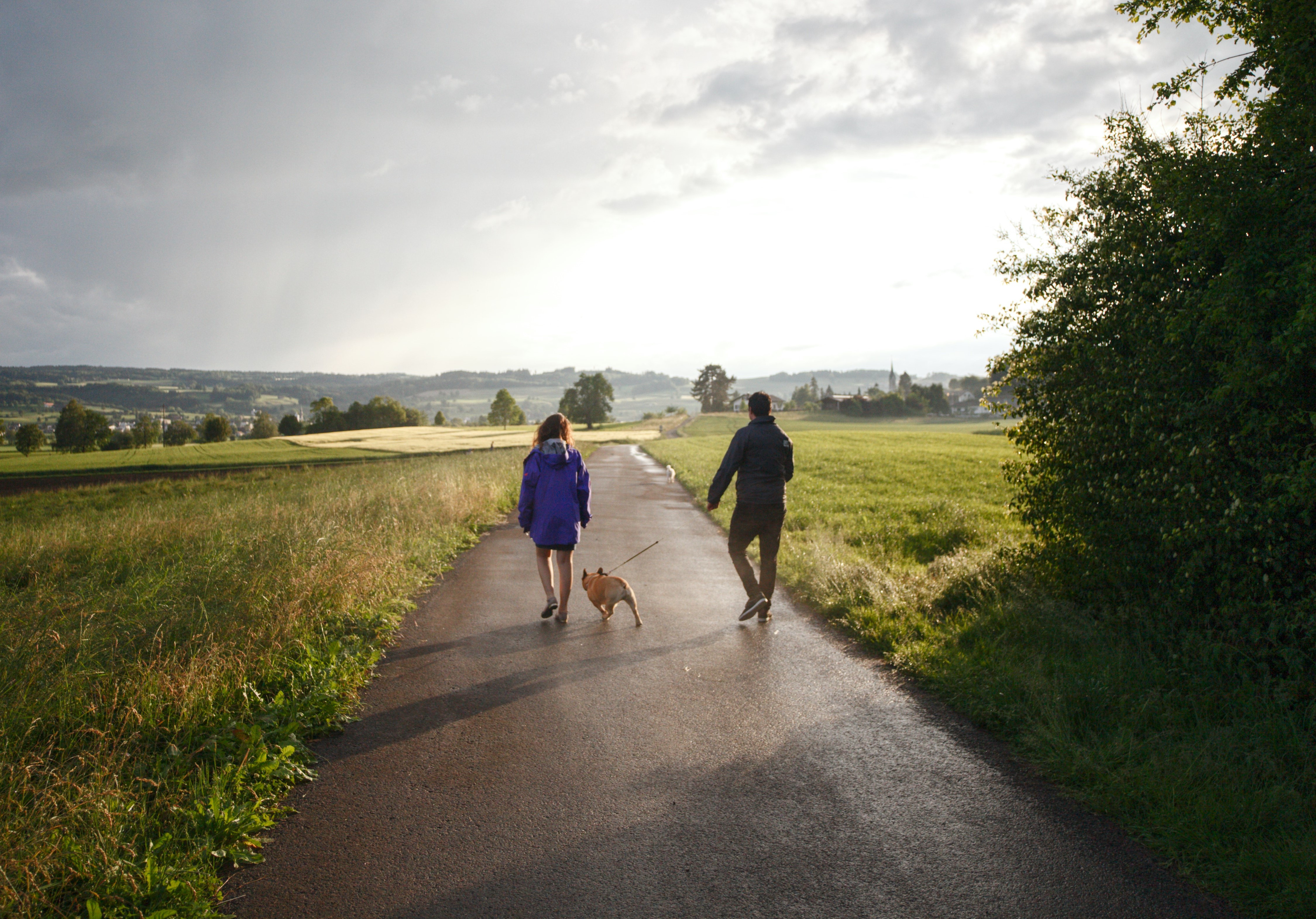 Trykk her for å se aktiviteten
