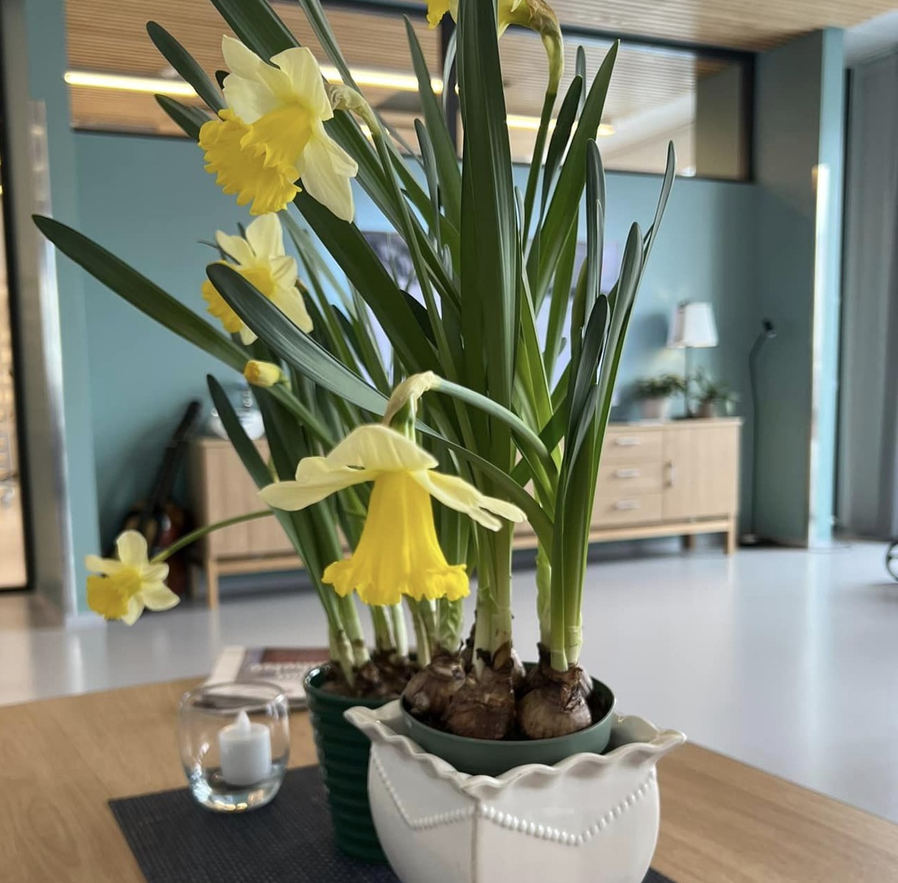 Trykk her for å se aktiviteten