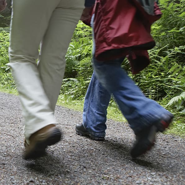 Trykk her for å se aktiviteten