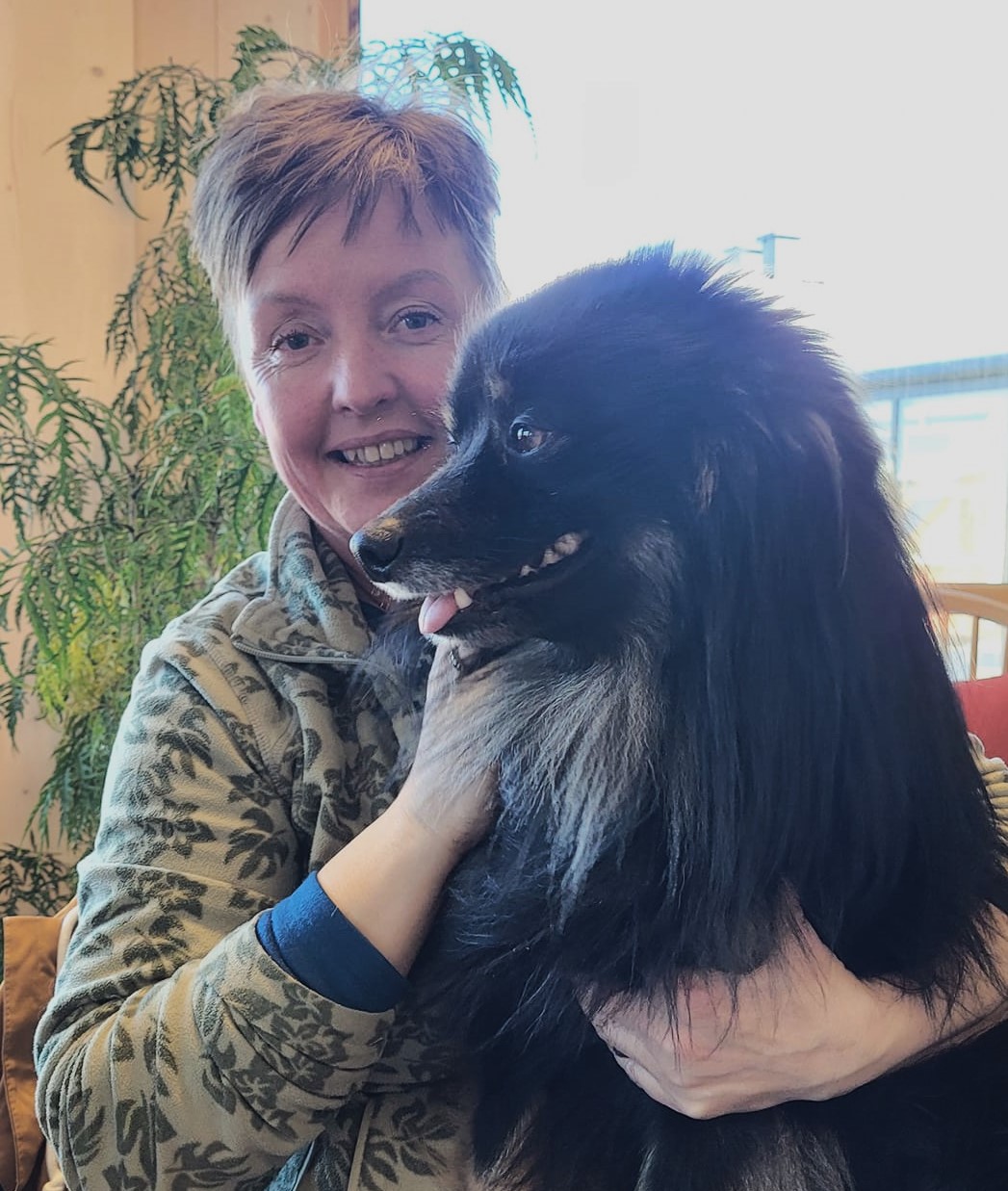 Trykk her for å se aktiviteten