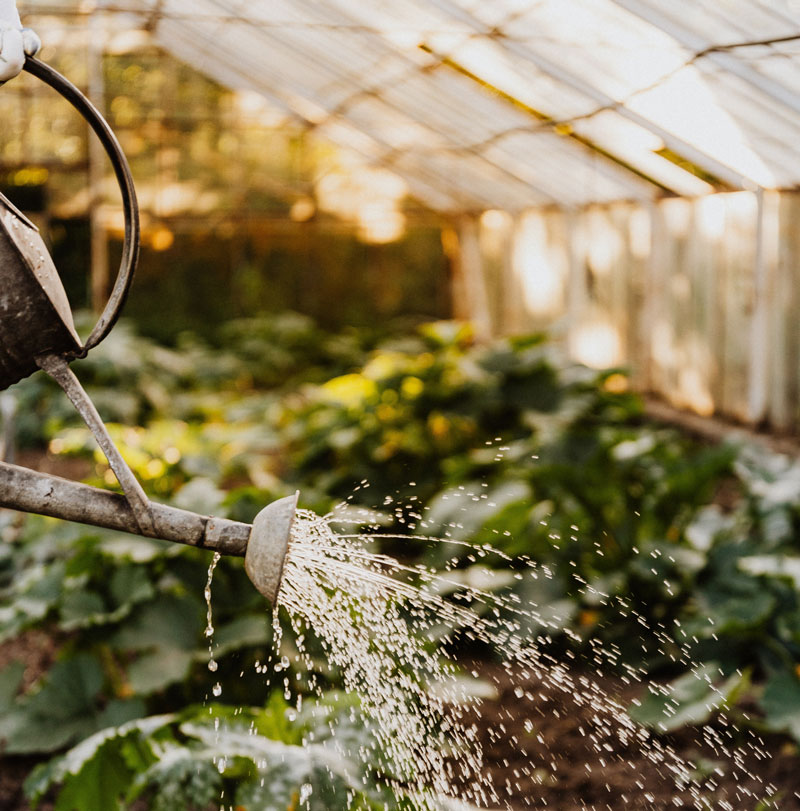Trykk her for å se aktiviteten