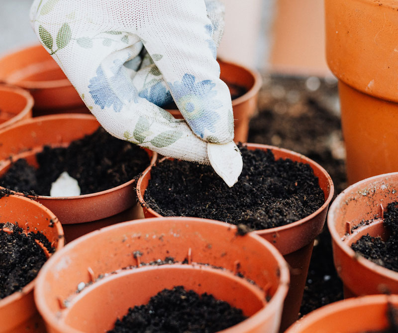Trykk her for å se aktiviteten