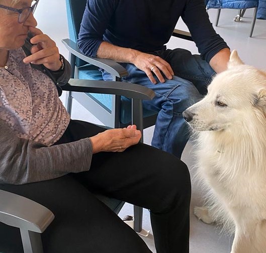 Trykk her for å se aktiviteten