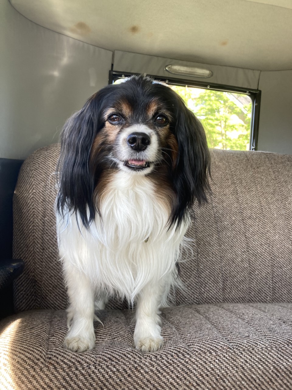 Trykk her for å se aktiviteten