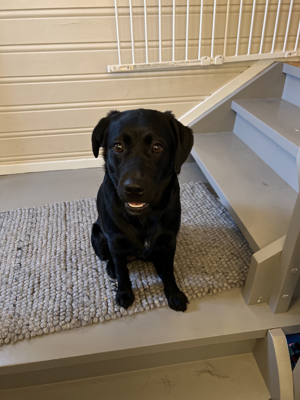 Trykk her for å se aktiviteten