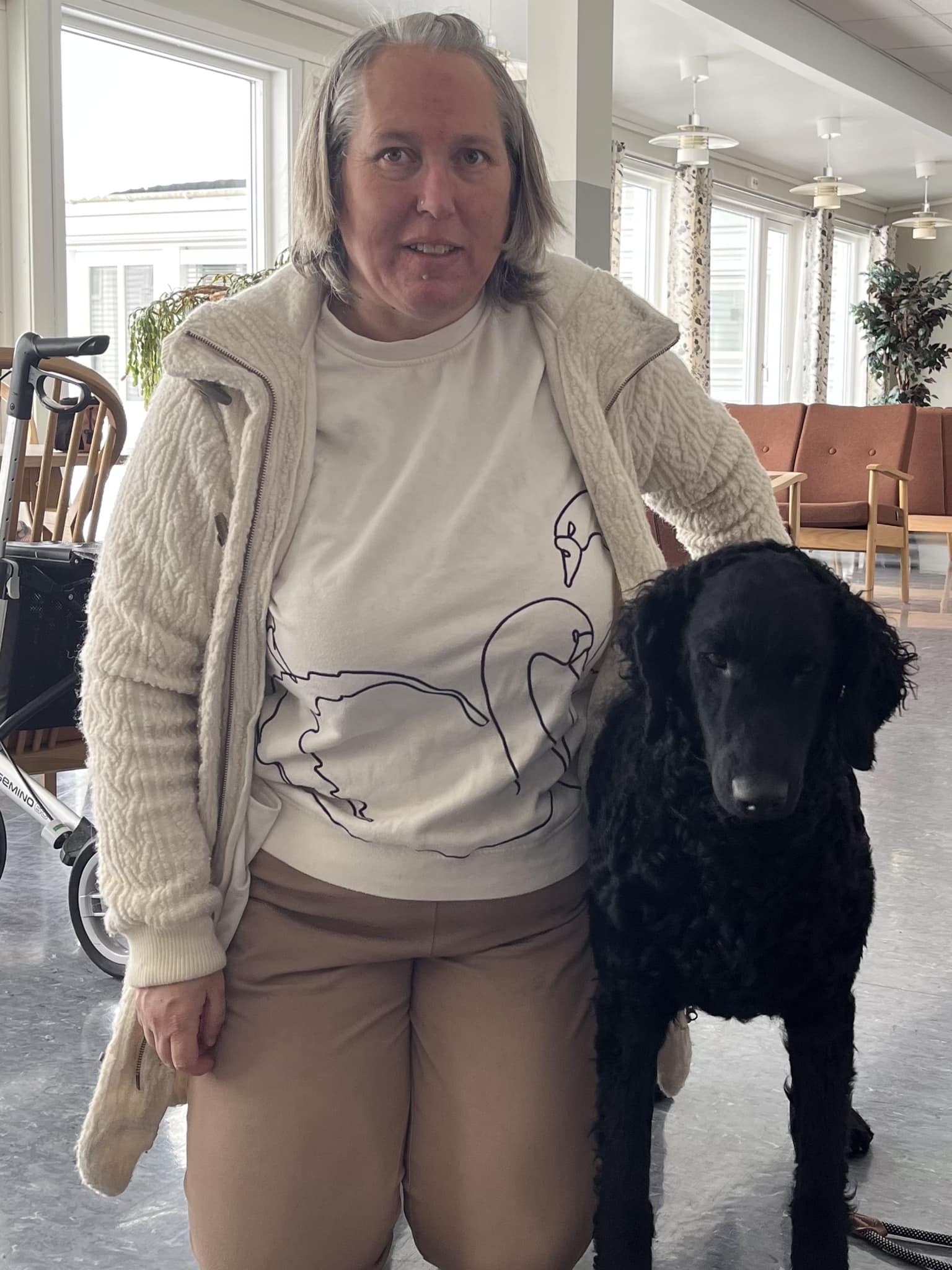 Trykk her for å se aktiviteten