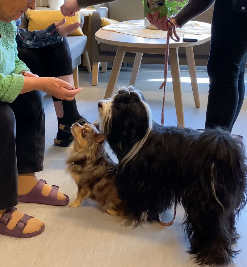 Trykk her for å se aktiviteten