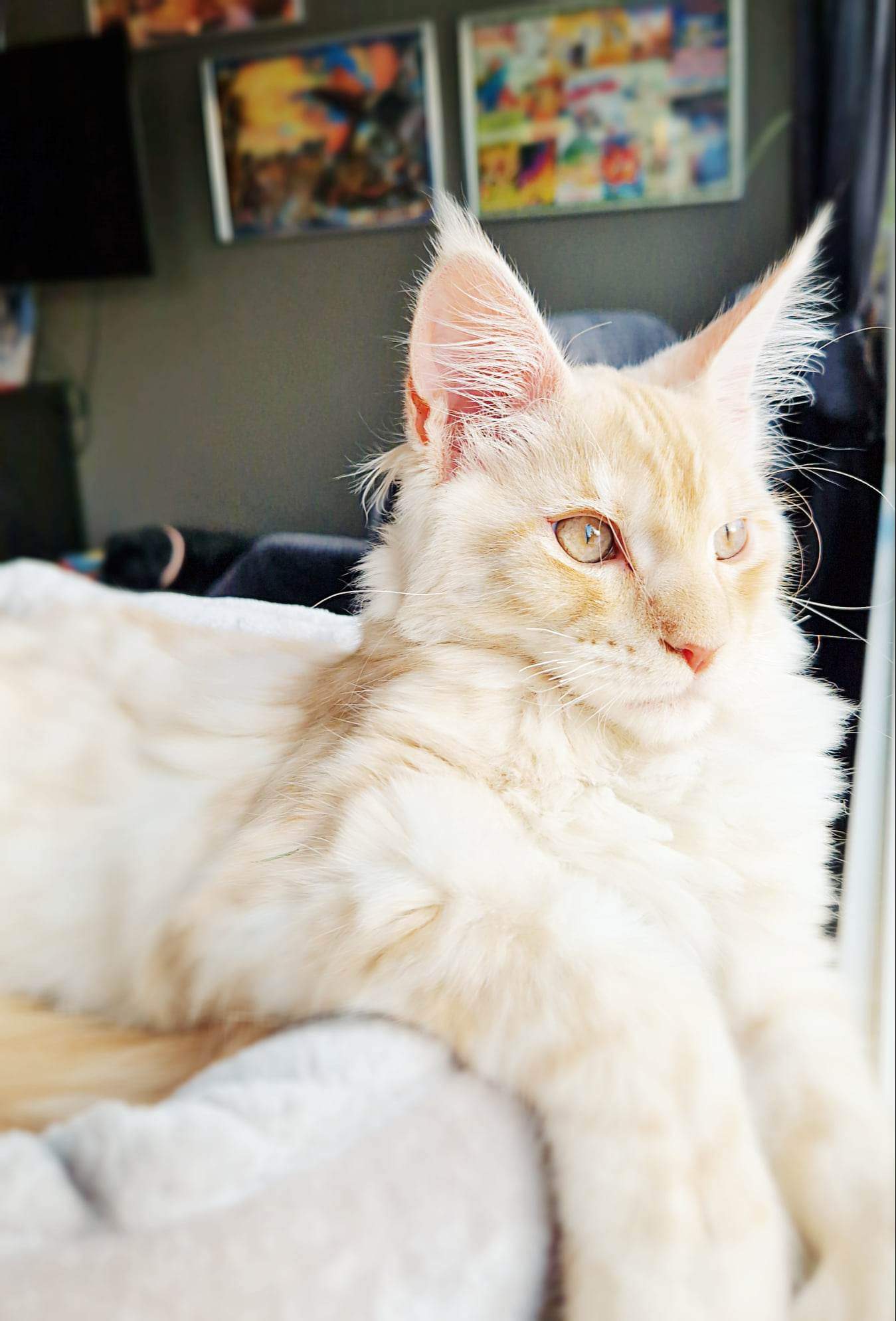 Trykk her for å se aktiviteten