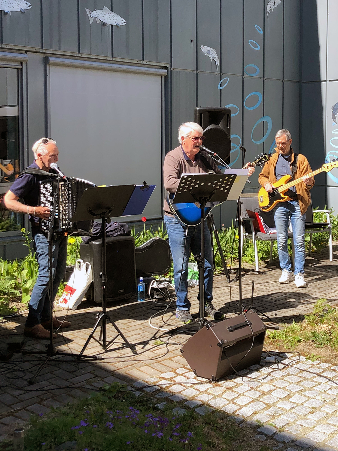 Trykk her for å se aktiviteten