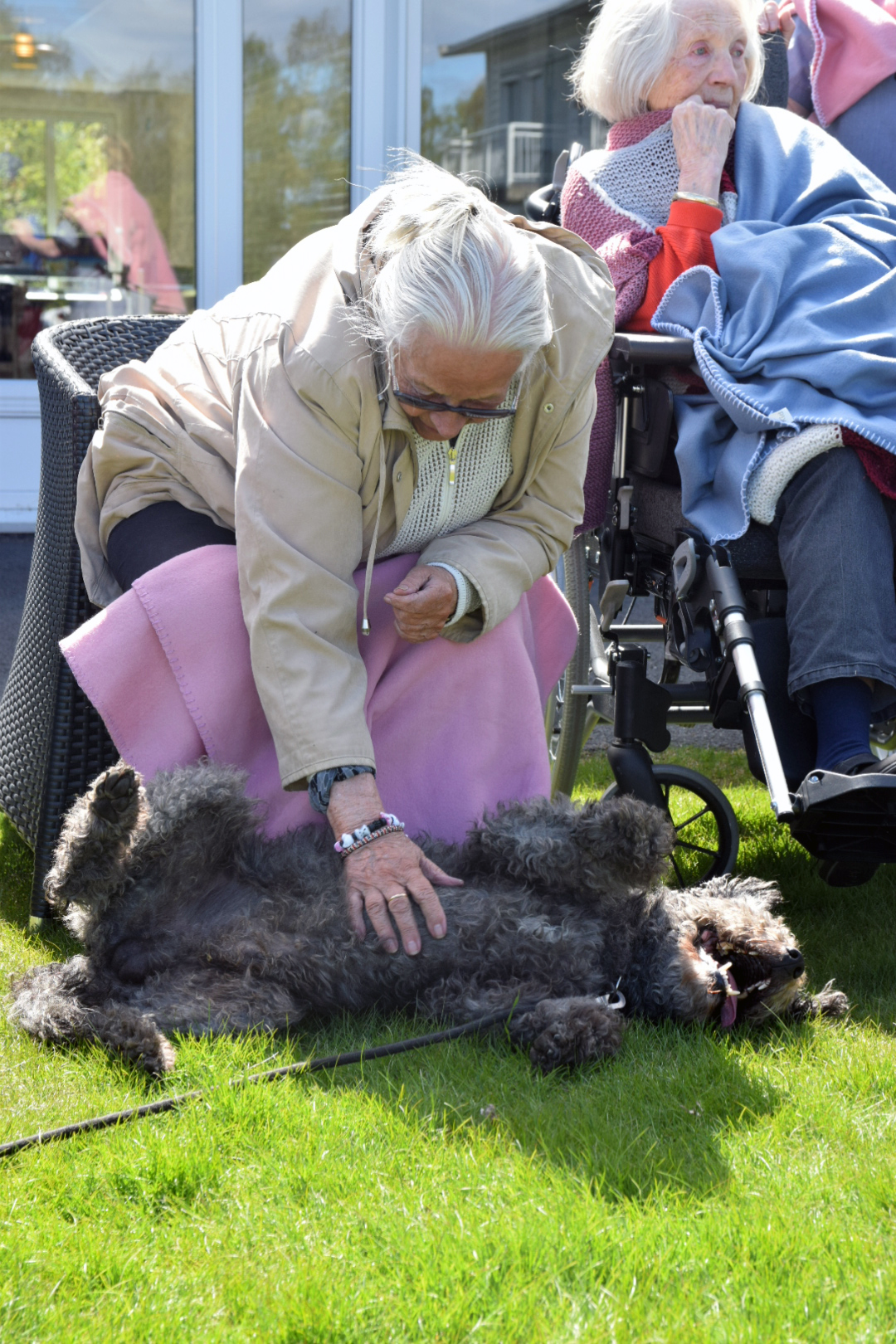 Trykk her for å se aktiviteten