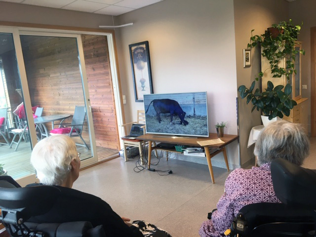 Trykk her for å se aktiviteten