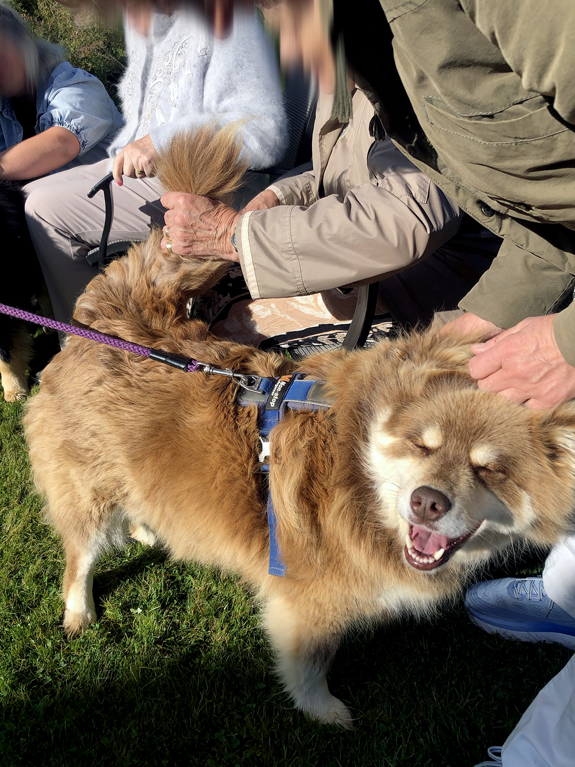 Trykk her for å se aktiviteten