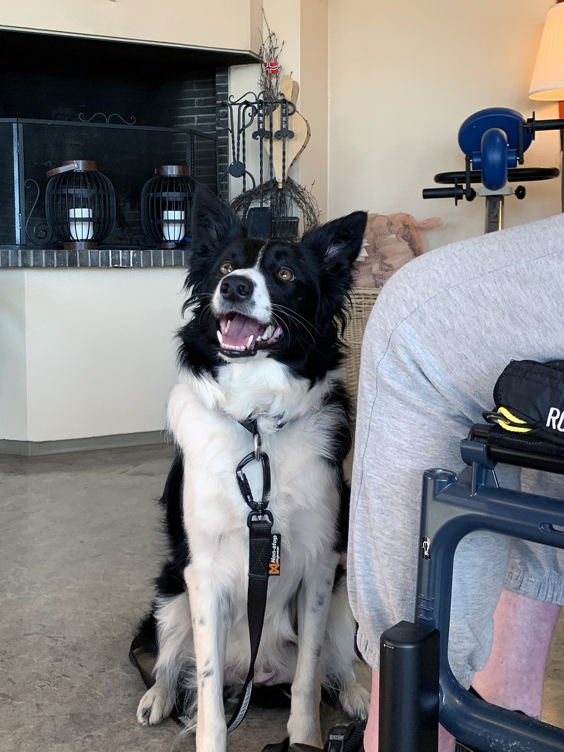 Trykk her for å se aktiviteten