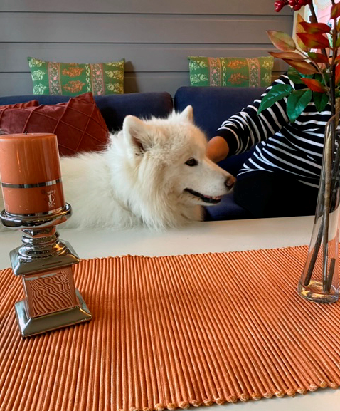 Trykk her for å se aktiviteten