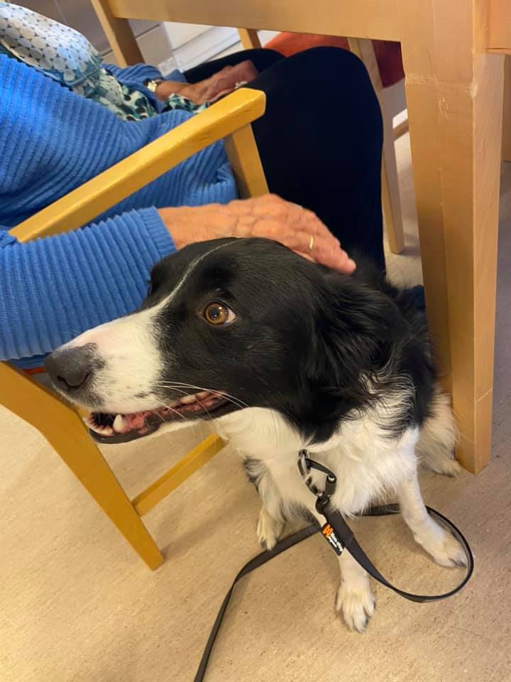 Trykk her for å se aktiviteten