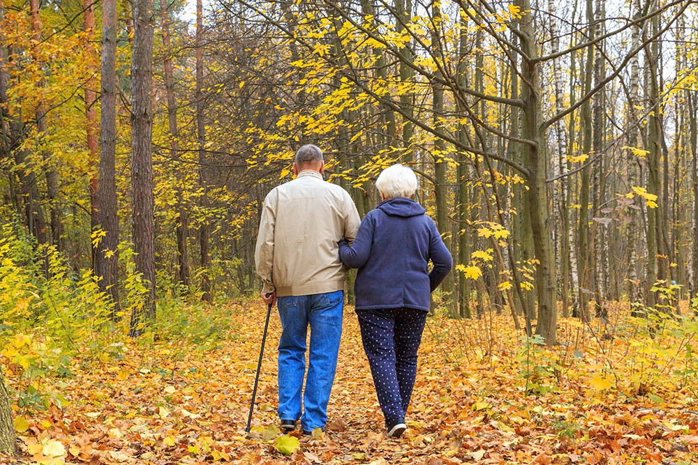 Trykk her for å se aktiviteten