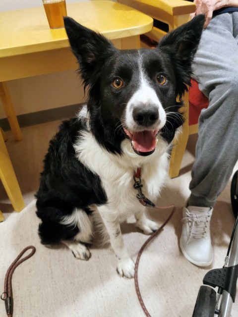 Trykk her for å se aktiviteten