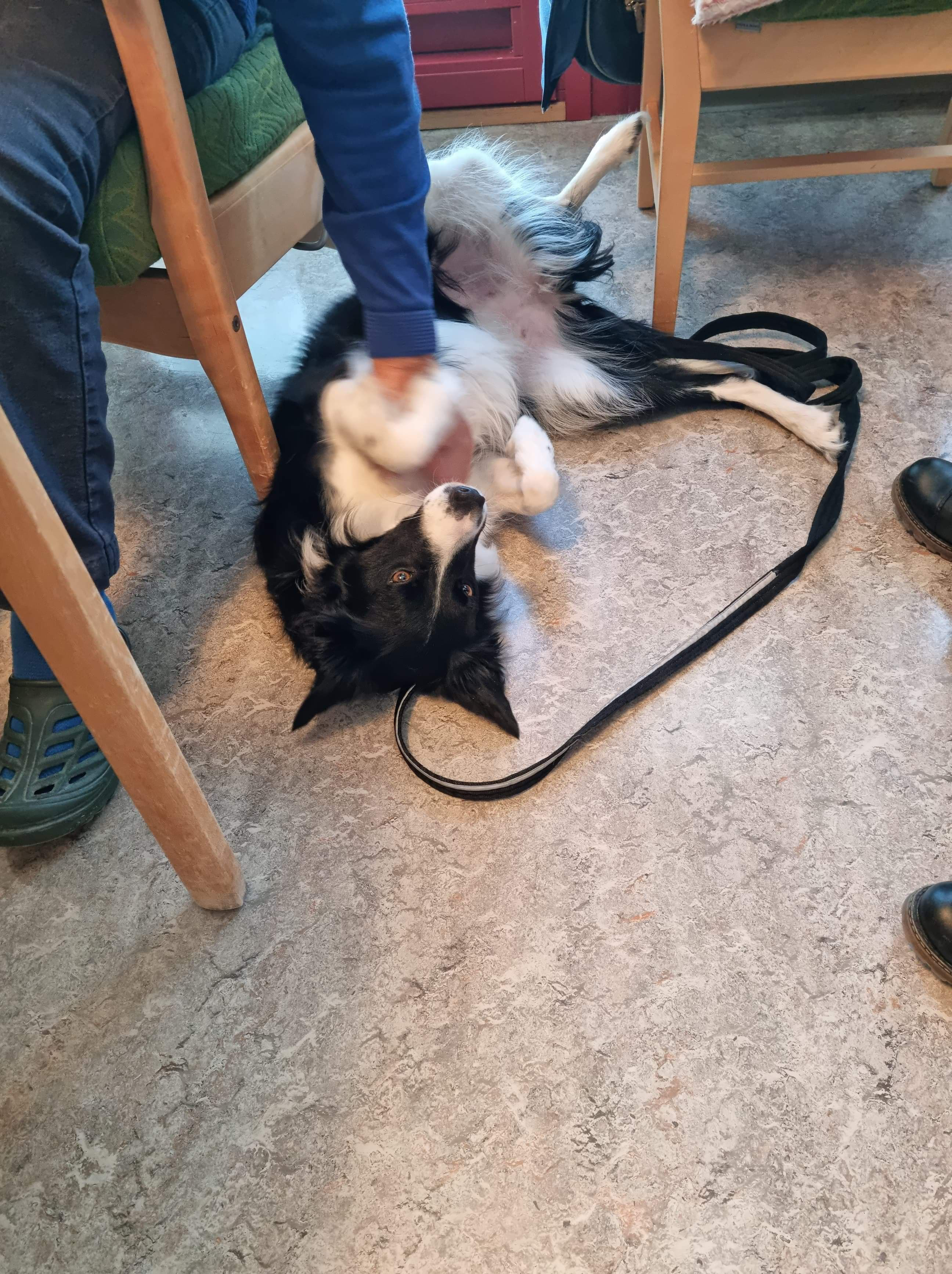 Trykk her for å se aktiviteten