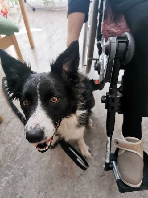 Trykk her for å se aktiviteten