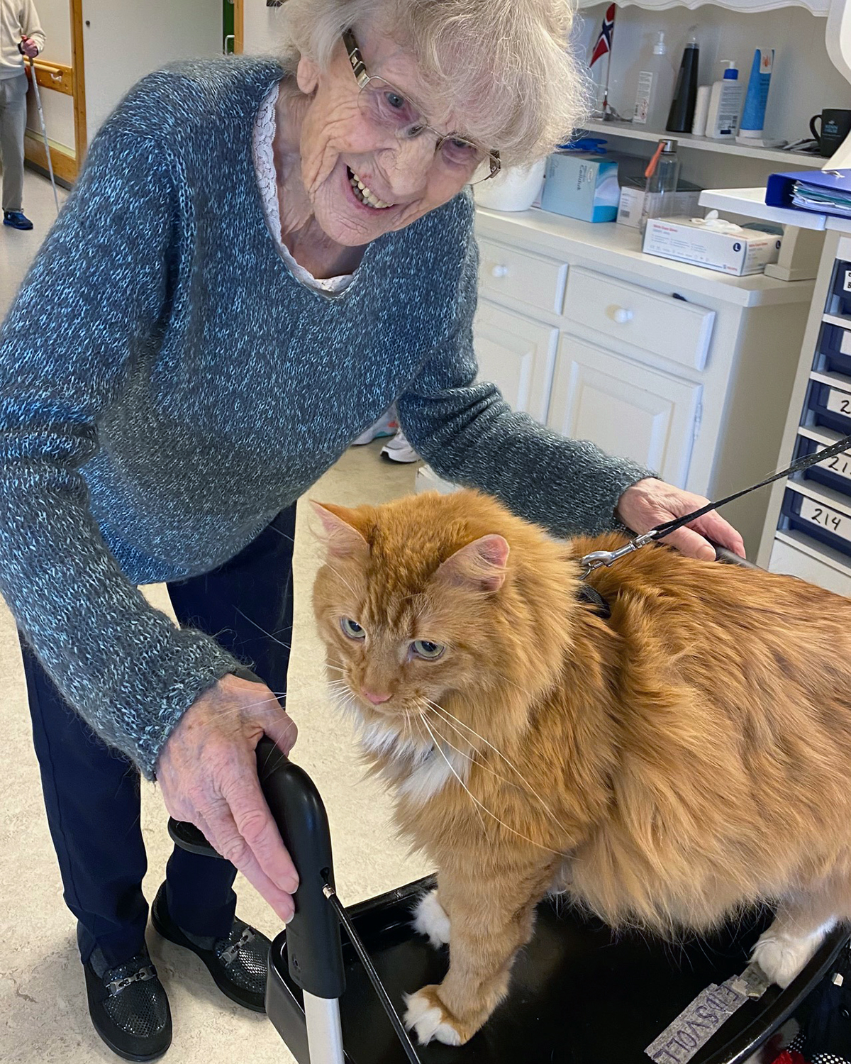 Trykk her for å se aktiviteten