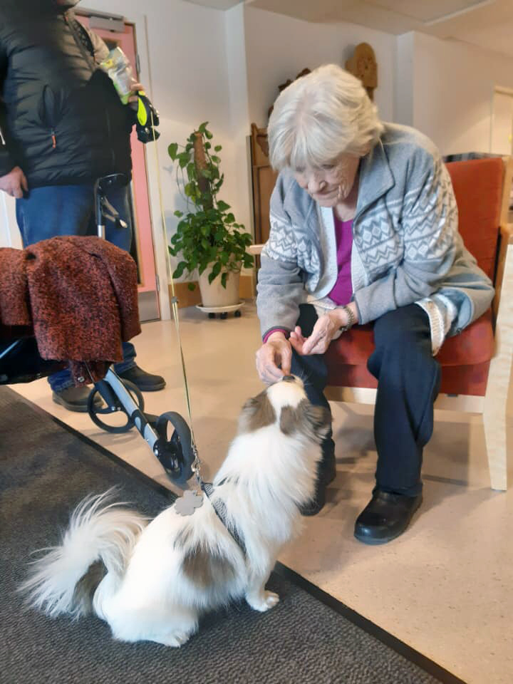 Trykk her for å se aktiviteten