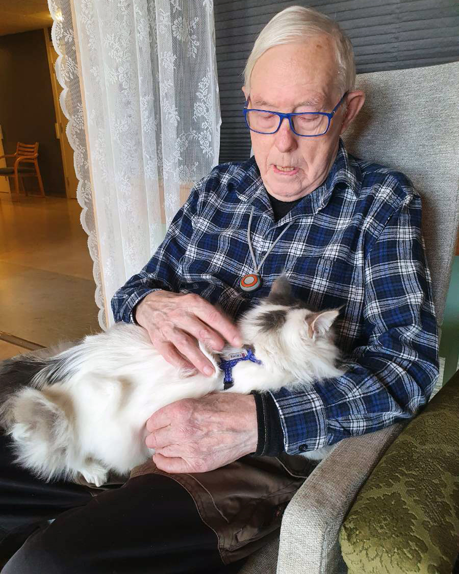 Trykk her for å se aktiviteten