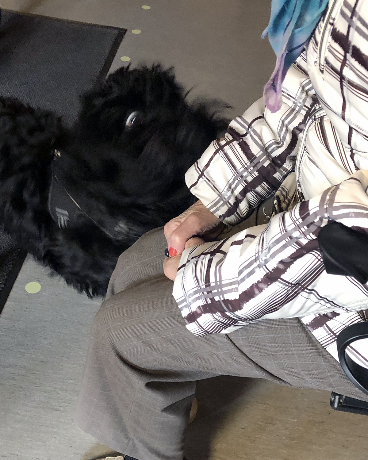 Trykk her for å se aktiviteten