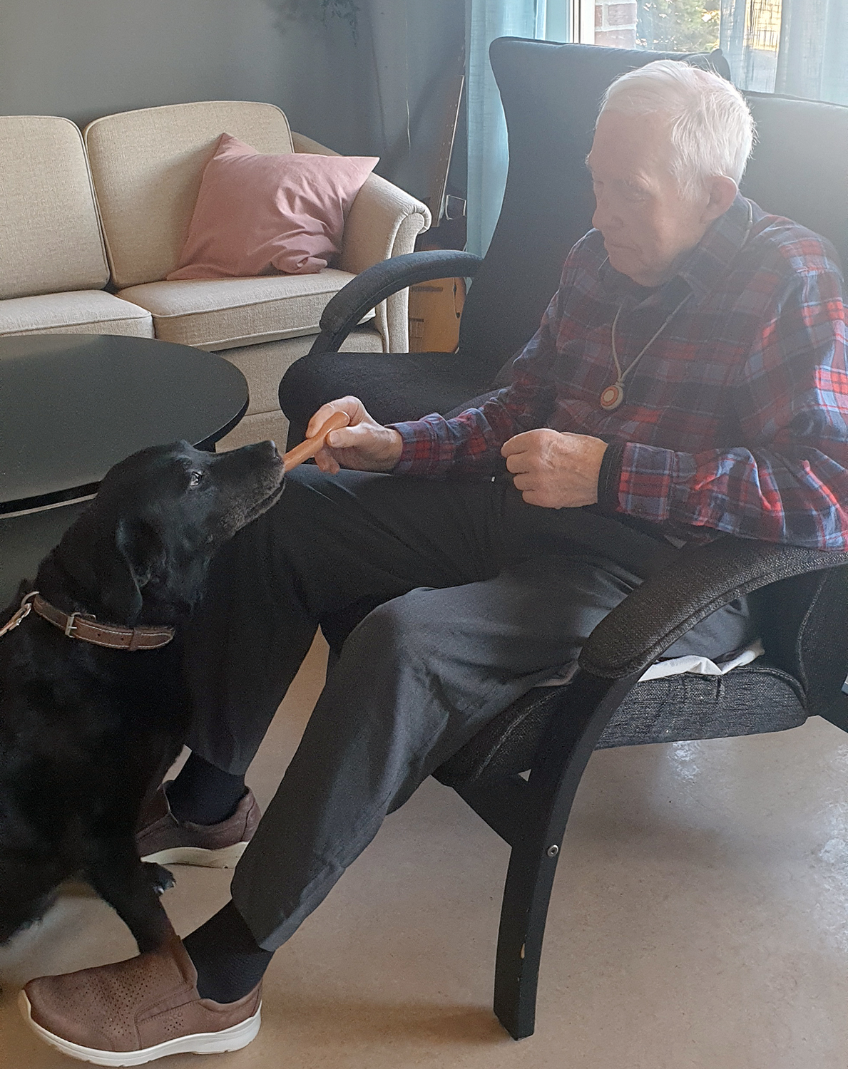 Trykk her for å se aktiviteten