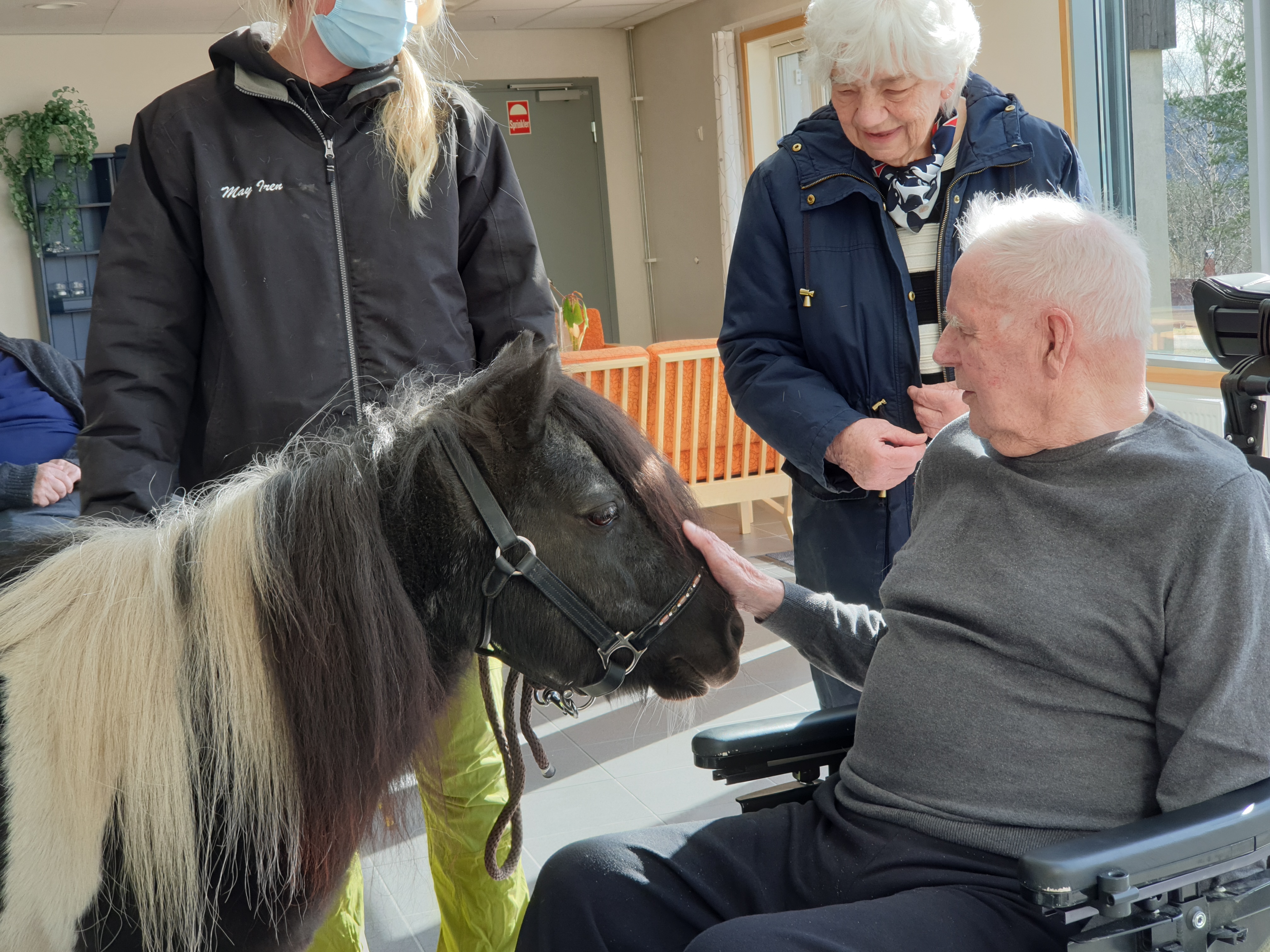Trykk her for å se aktiviteten