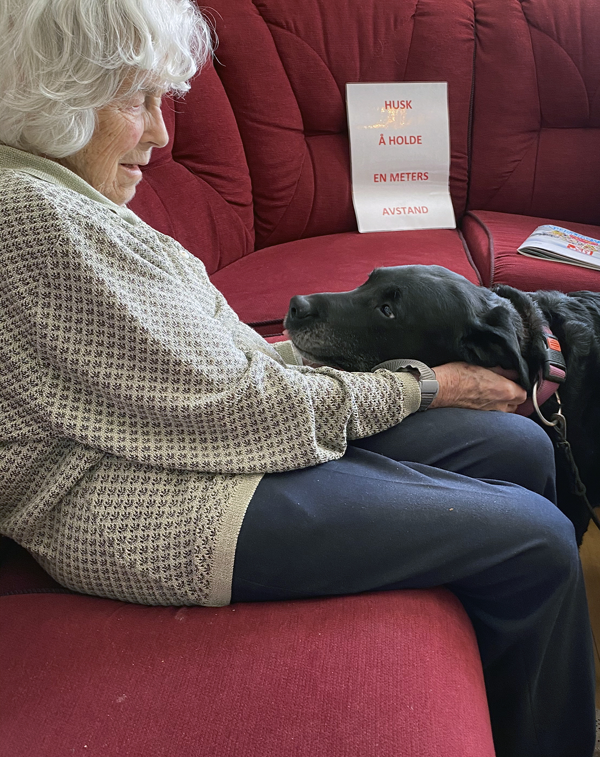 Trykk her for å se aktiviteten