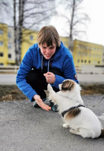 Trykk her for å se aktiviteten