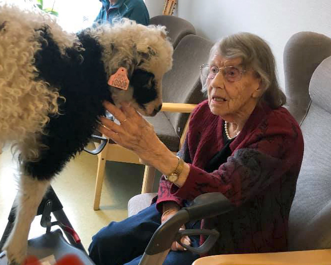 Trykk her for å se aktiviteten