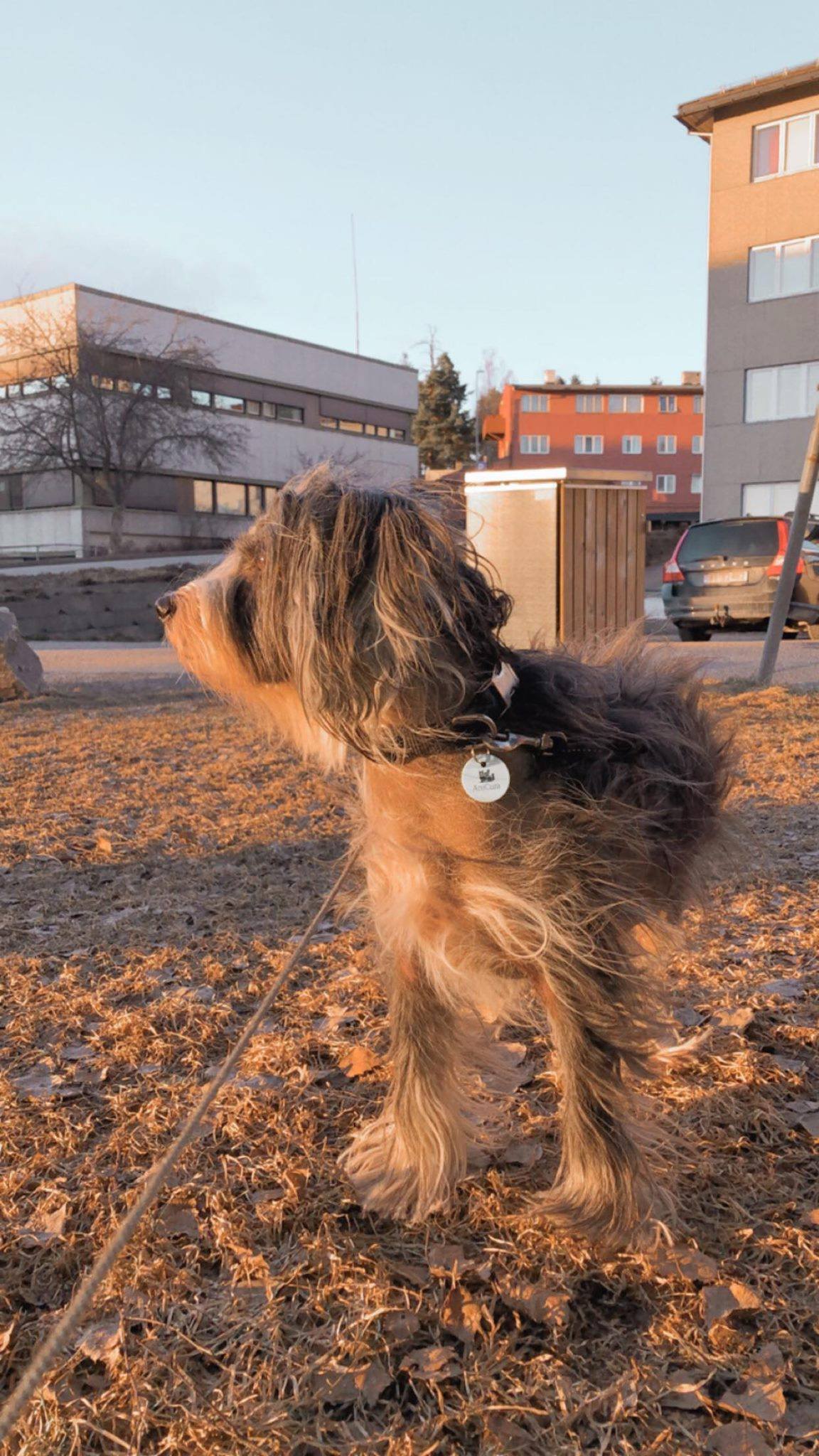 Trykk her for å se aktiviteten