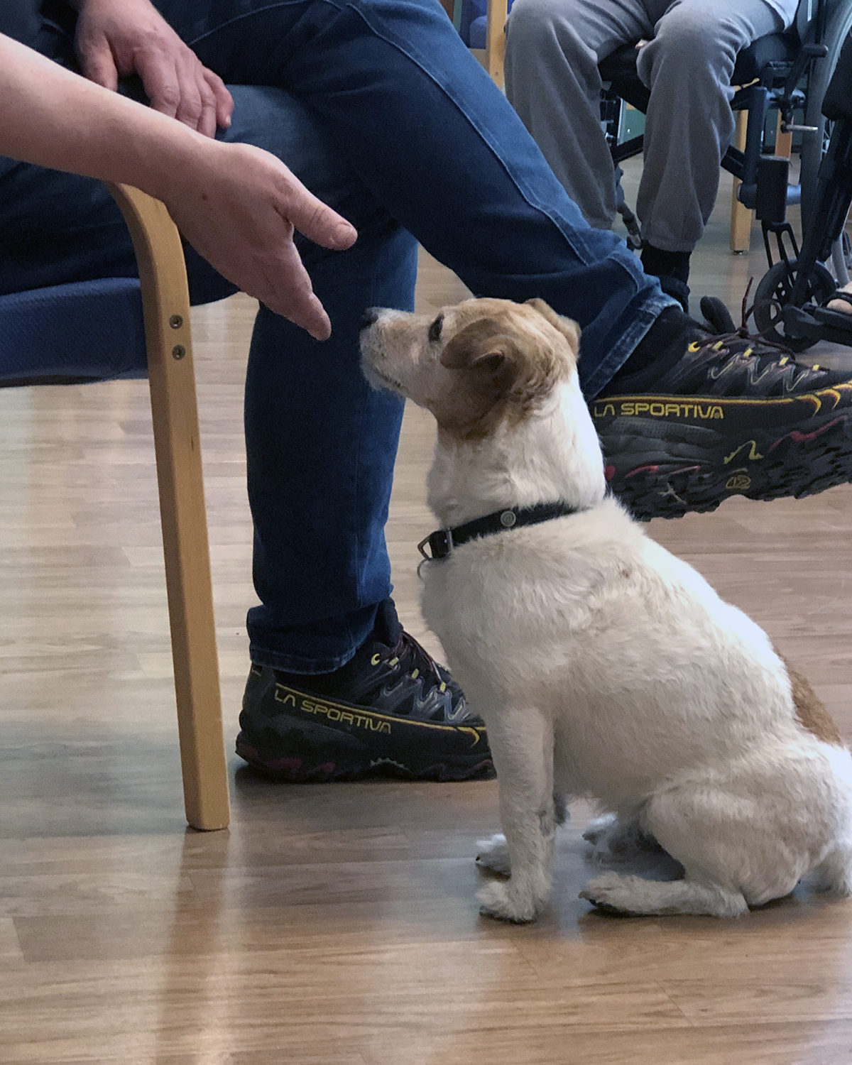 Trykk her for å se aktiviteten