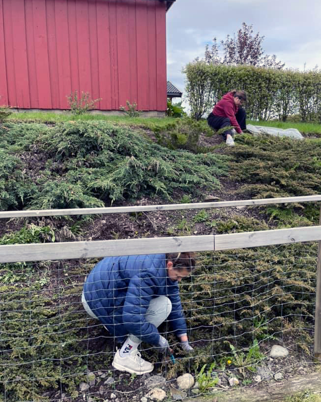 Trykk her for å se aktiviteten