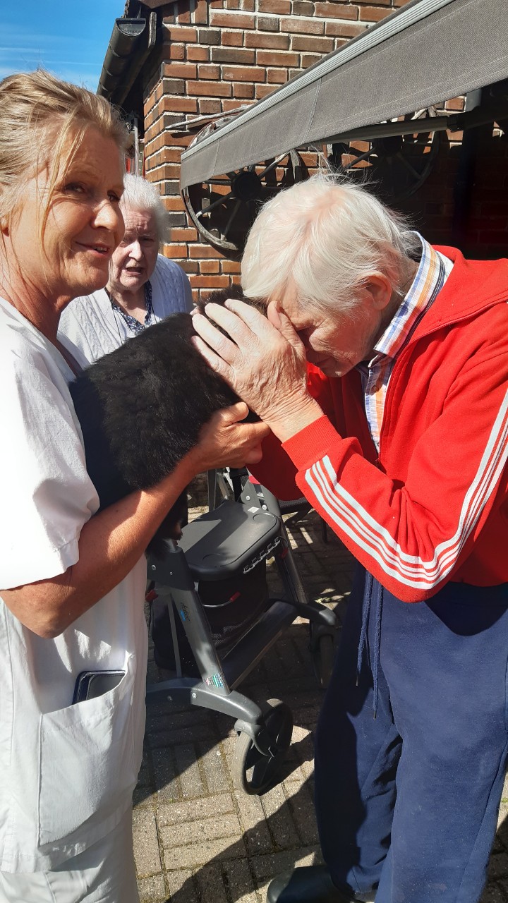 Trykk her for å se aktiviteten