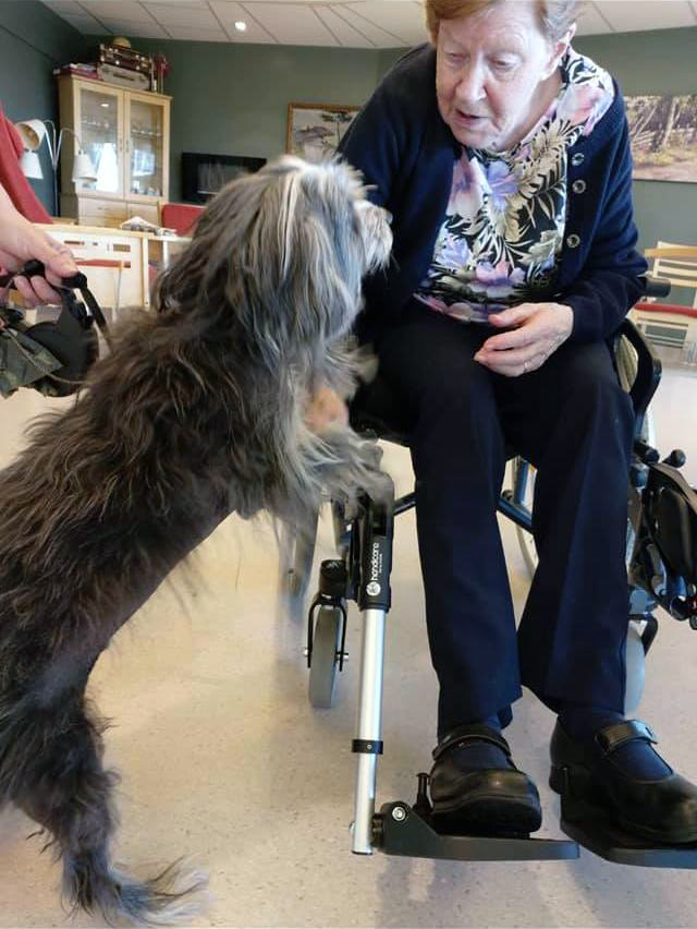 Trykk her for å se aktiviteten