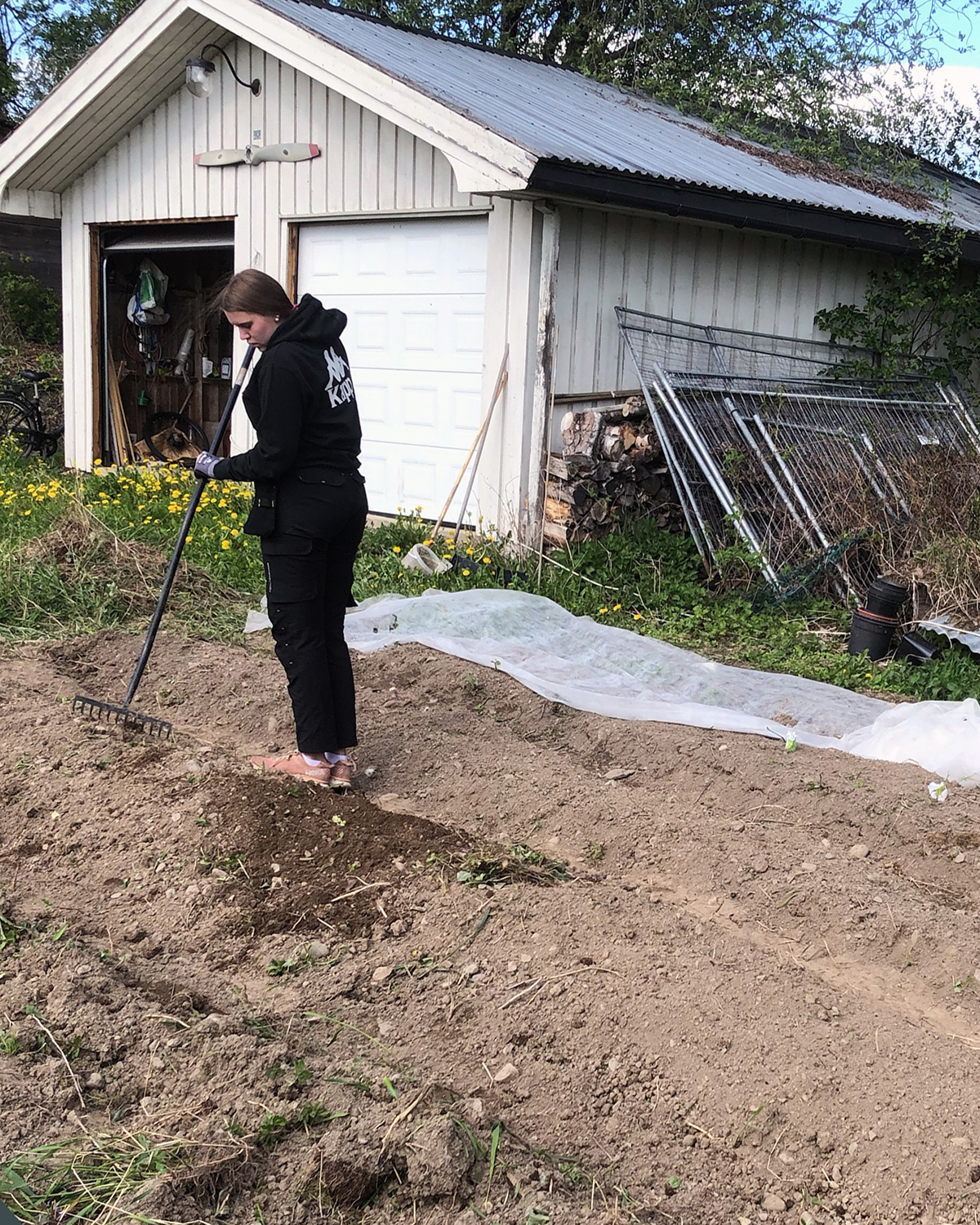 Trykk her for å se aktiviteten