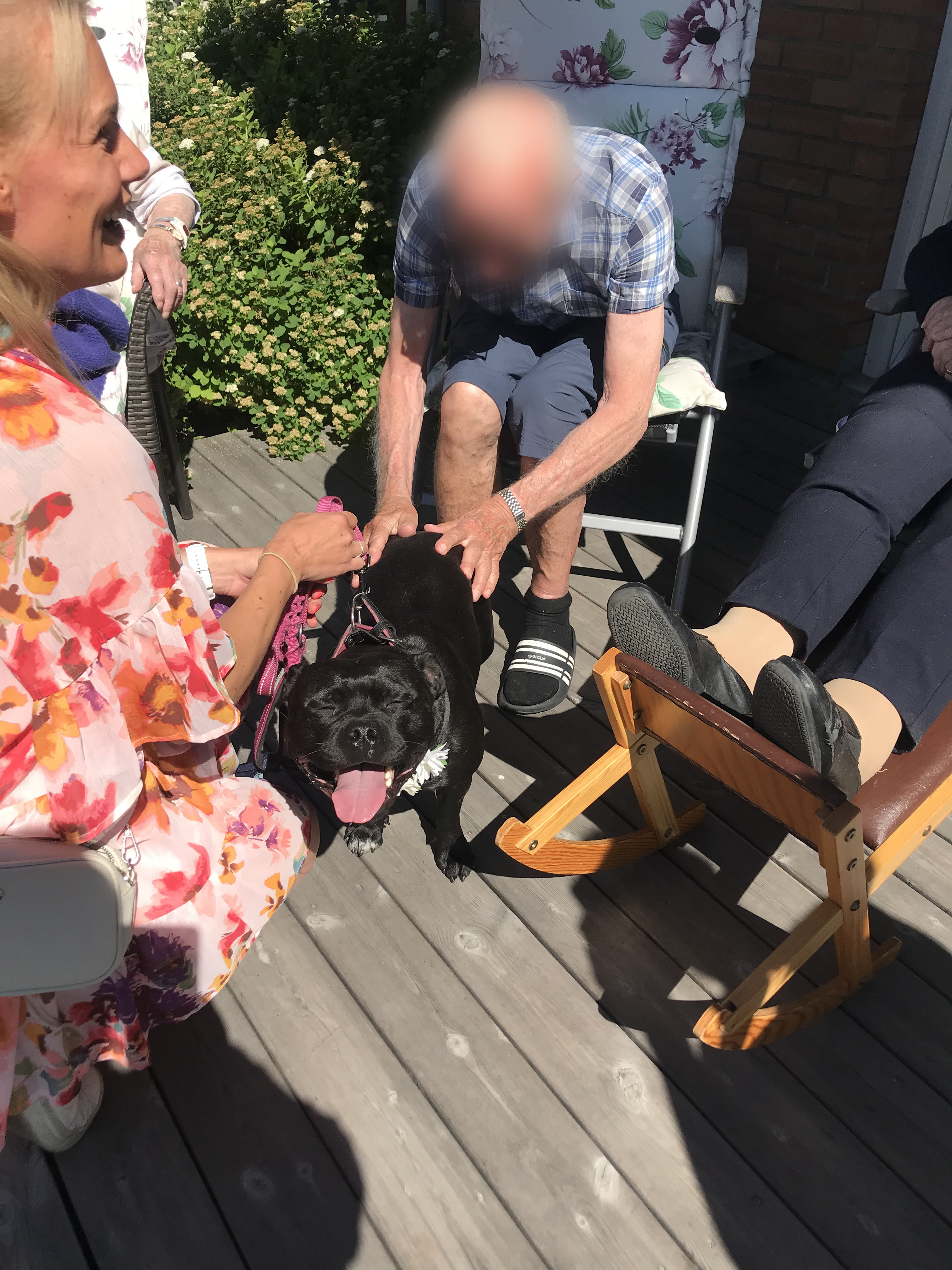 Trykk her for å se aktiviteten