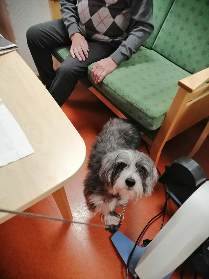 Trykk her for å se aktiviteten